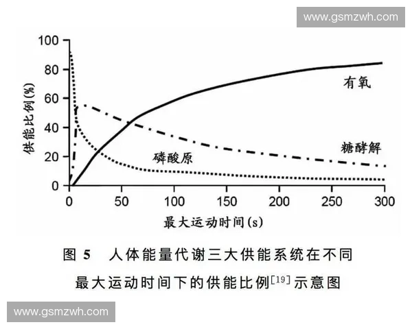 以训练负荷调控为核心的运动训练效能优化与科学管理研究实证分析 以训练负荷调控为核心的运动训练效能优化与科学管理研究实证分析